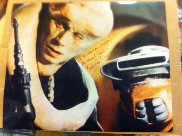 Bib Fortuna