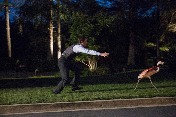 Nuevas imágenes de la segunda temporada de 'Agente Carter' 40 Agente Carter Segunda Temporada (30)