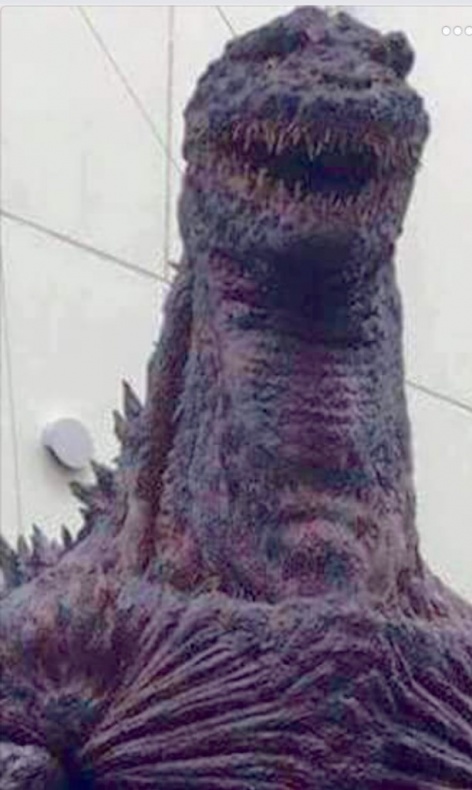 Primeras fotografías del monstruo de 'Godzilla: Resurgence' 2 Godzilla: Resurgence, Toho Pictures