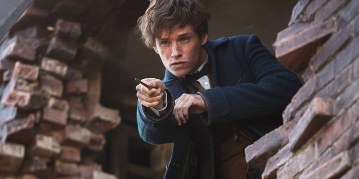 newt-scamander