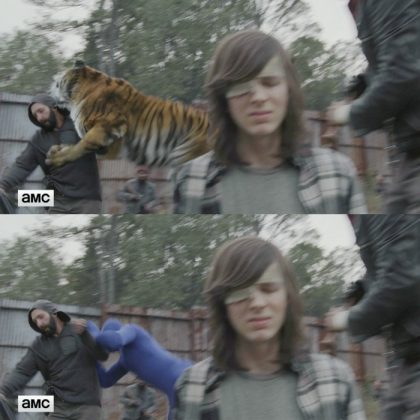 Shiva, el tigre de 'The Walking Dead', al natural y sin efectos digitales