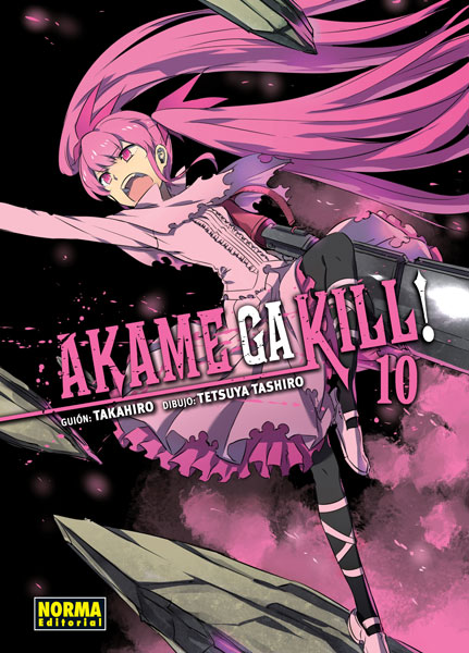 akame ga kill 10