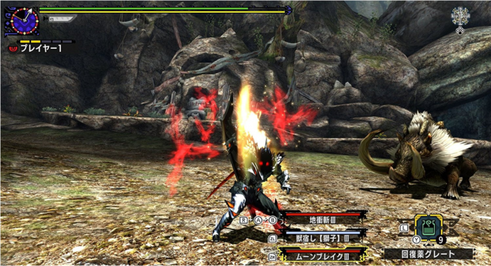 Monster Hunter XX 5