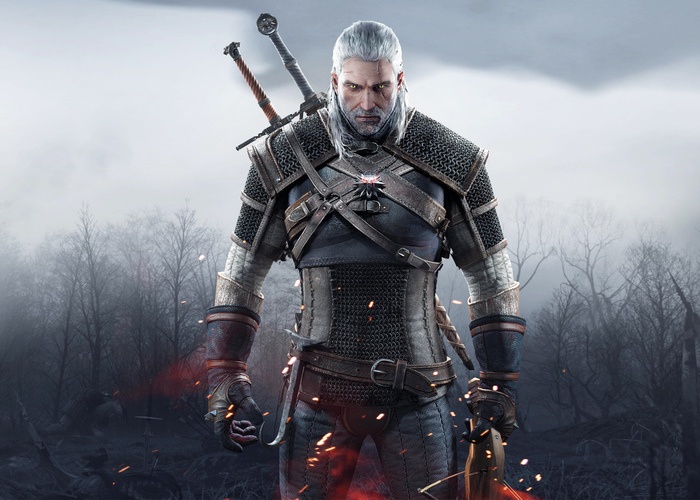 The Witcher