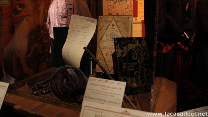 Visita a 'Harry Potter: The Exhibition' 6 Harry Potter, Harry Potter: The Exhibition
