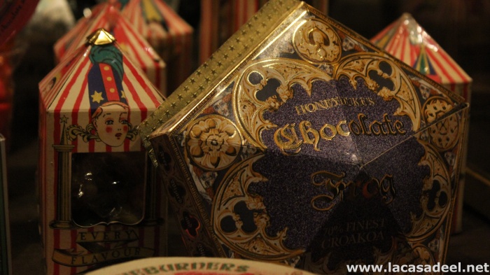 Visita a 'Harry Potter: The Exhibition' 14 Harry Potter, Harry Potter: The Exhibition