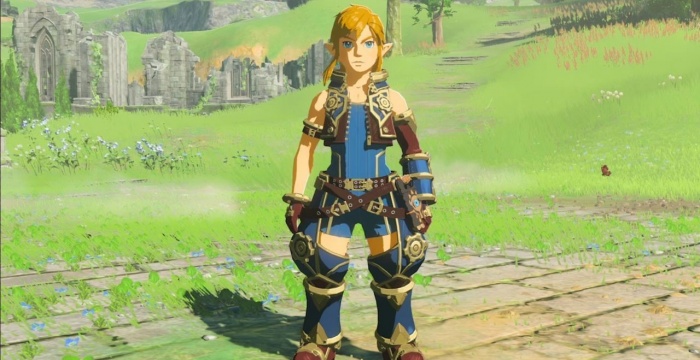 Zelda DLC