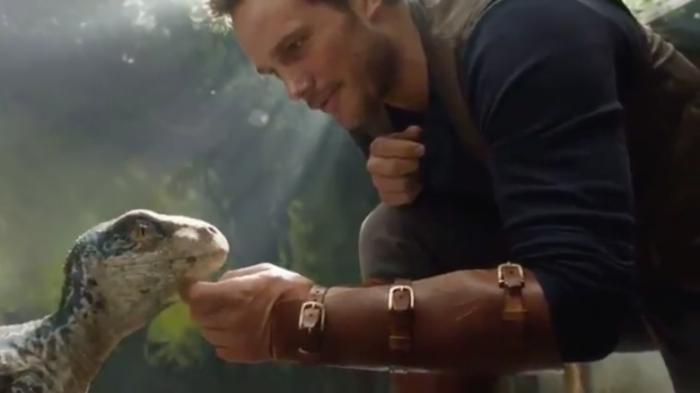 chris pratt fallen kingdom