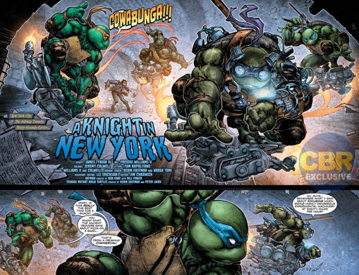 BatmanTMNT II (2)