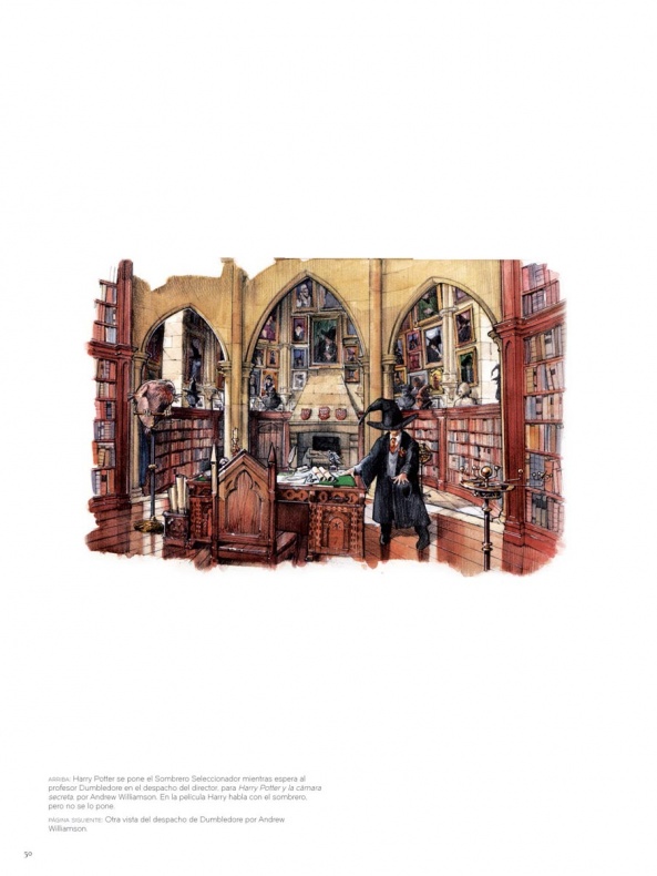 Reseña de 'El arte de Harry Potter' 7 Harry con sombrero seleccionador