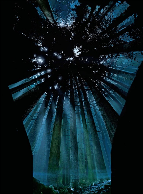 Reseña de 'El arte de Harry Potter' 9 Arte del Bosque Prohibido