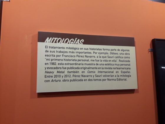 Martin Sauri 4