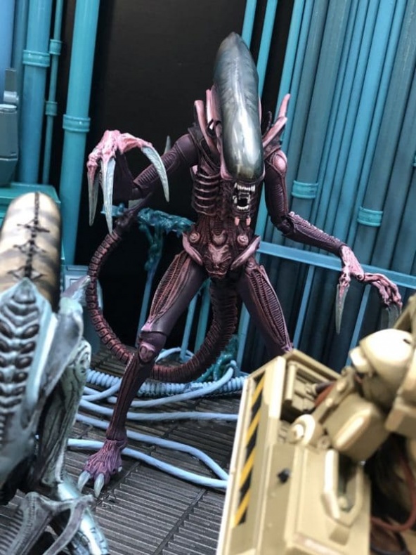 Toy Fair 2019: Novedades de NECA Toys 23 Neca, Toy Fair 2019