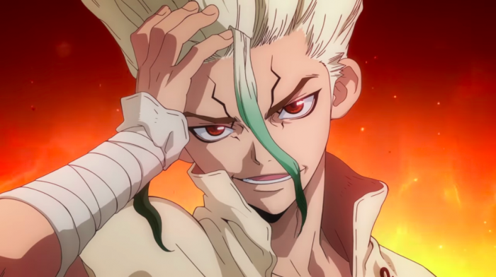 Dr. Stone