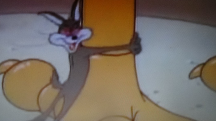 Chuck Jones, Correcaminos, Coyote