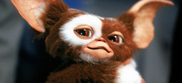 Gremlins - Gizmo