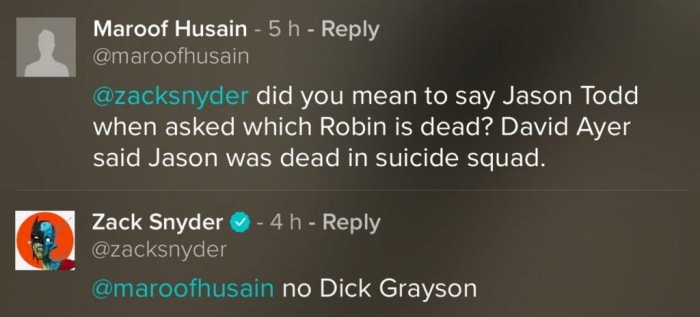DCEU, Robin