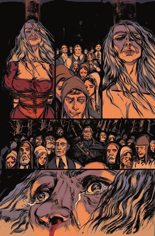 Dark Horse Comics - The Witcher