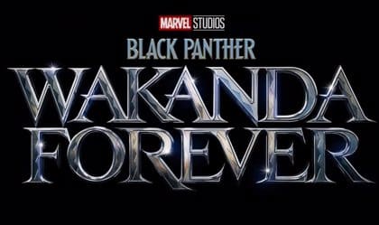 Black Panther - Chadwick Boseman Marvel 2022