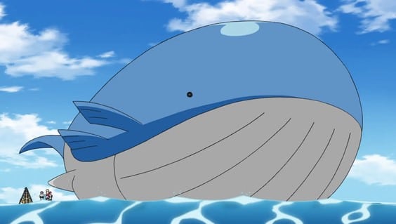 Wailord es más ligero de lo que parece