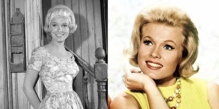 Curiosidad series, Selección del editor, The Munsters