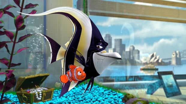 Buscando a Nemo, Noticia Series