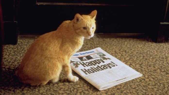 Edición anterior - destacada