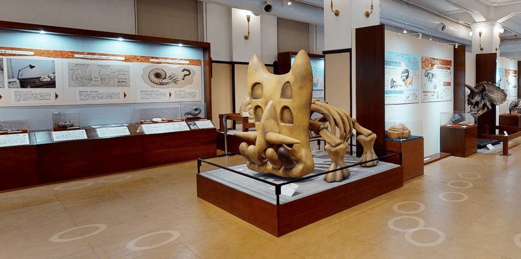 museo de fósiles Pokémon