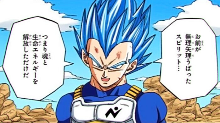 Dragon Ball Super Vegeta