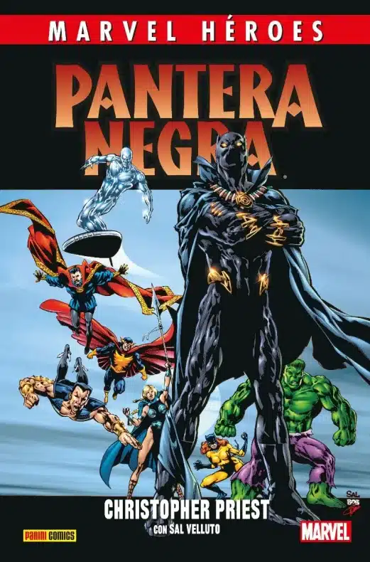 Marvel, Marvel Comics, Panini Comics, Pantera negra