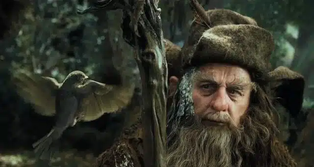 Radagast el señor de los anillos