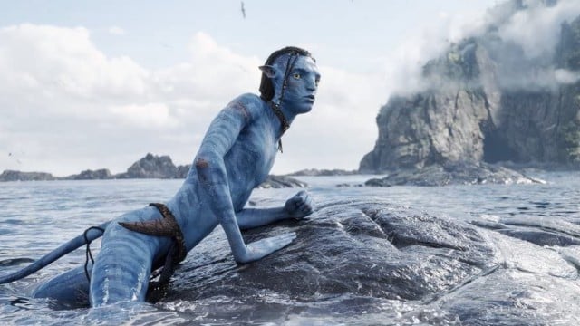 avatar 3 - Avatar