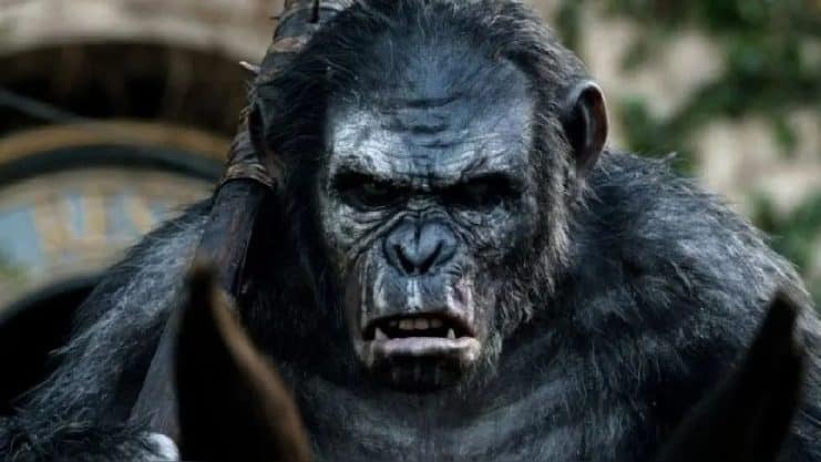 Crítica Cinematográfica, futuro de los simios y humanos, legado de César, nuevo líder simio