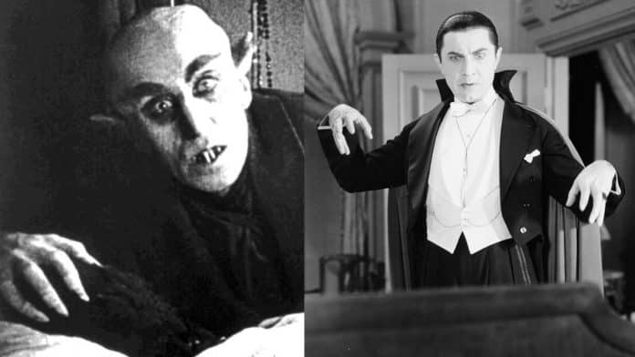 nosferatu dracula
