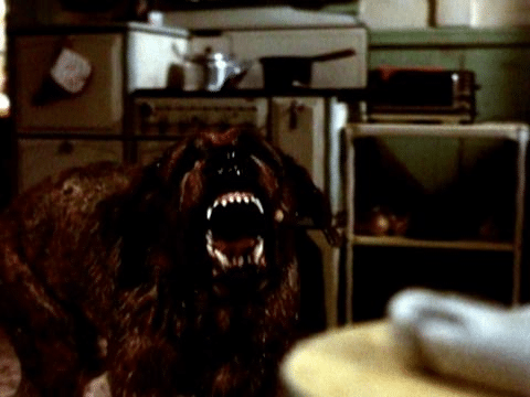 Los 10 monstruos más terroríficos de Stephen King que solo existen en los libros