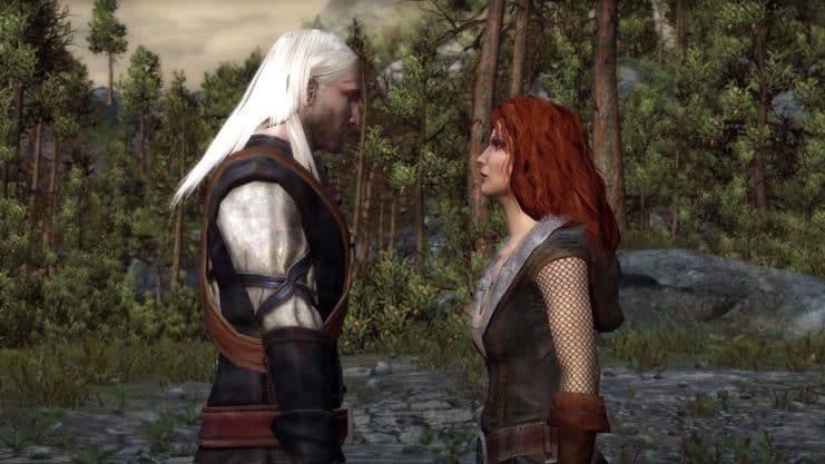 the witcher