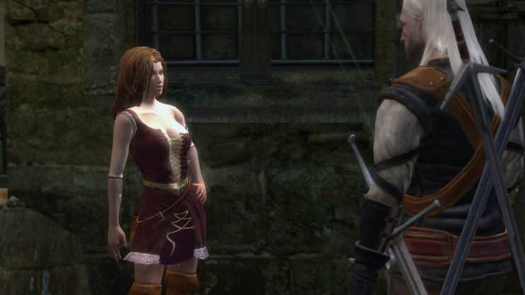 the witcher