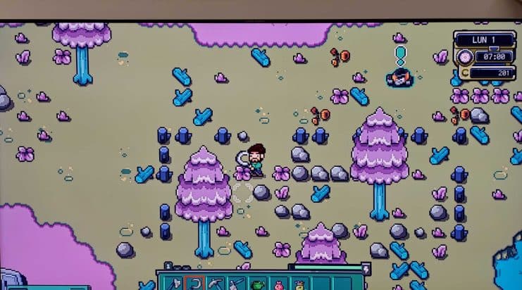 Farlands Nintendo